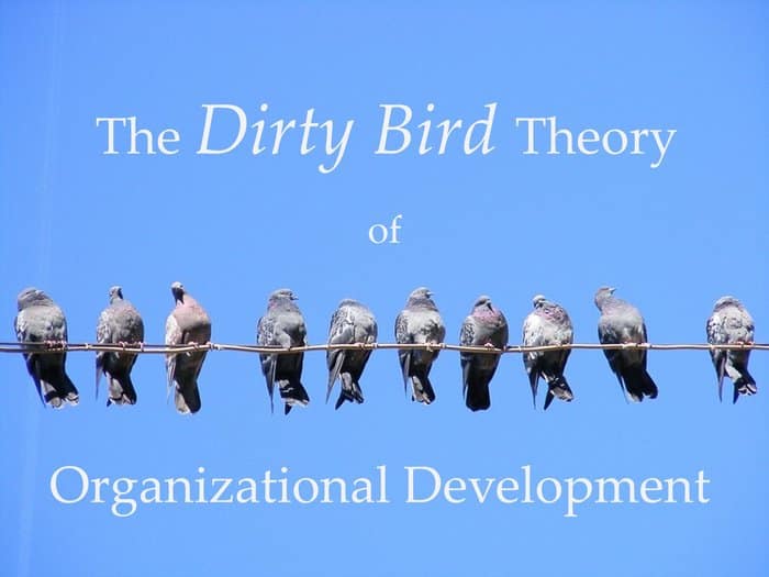 Dirty Bird